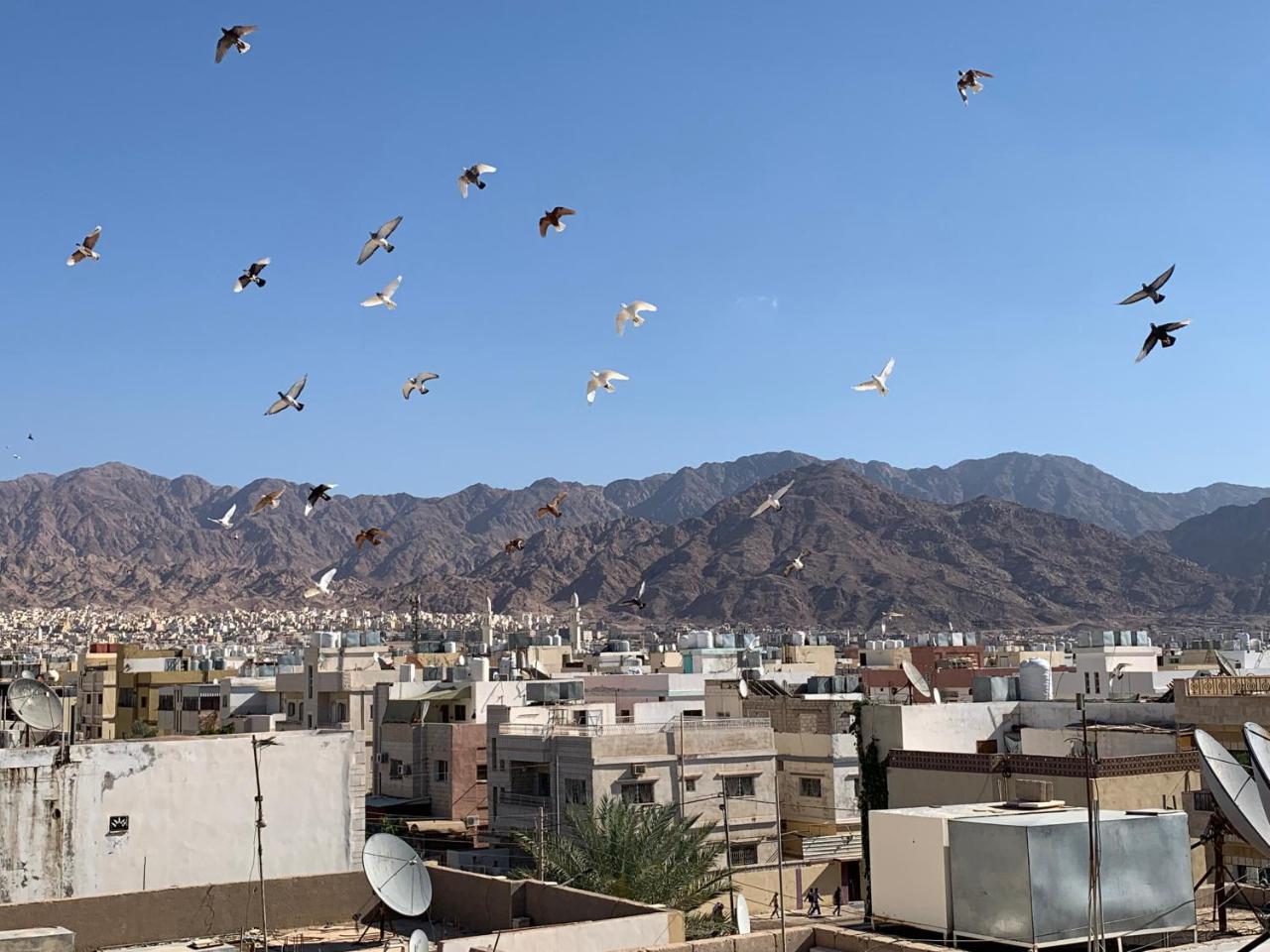 Room 17 Youth Hostel Aqaba Exterior foto